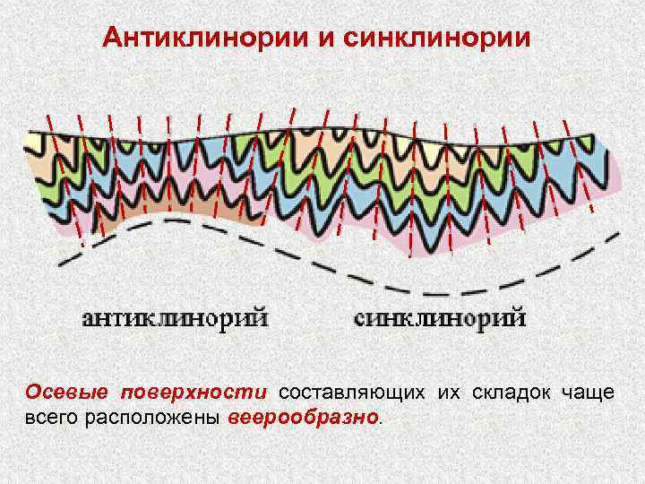  Антиклинории и синклинории Осевые поверхности составляющих их складок чаще    