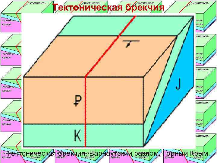   Тектоническая брекчия. Варнаутский разлом, Горный Крым. 