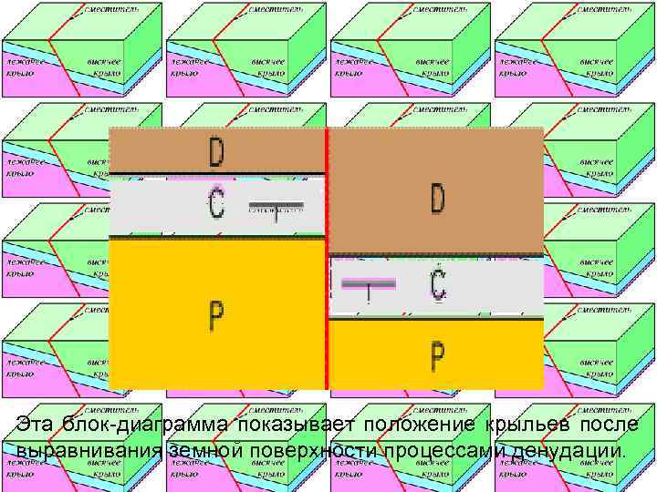 Эта блок-диаграмма показывает положение крыльев после выравнивания земной поверхности процессами денудации. 