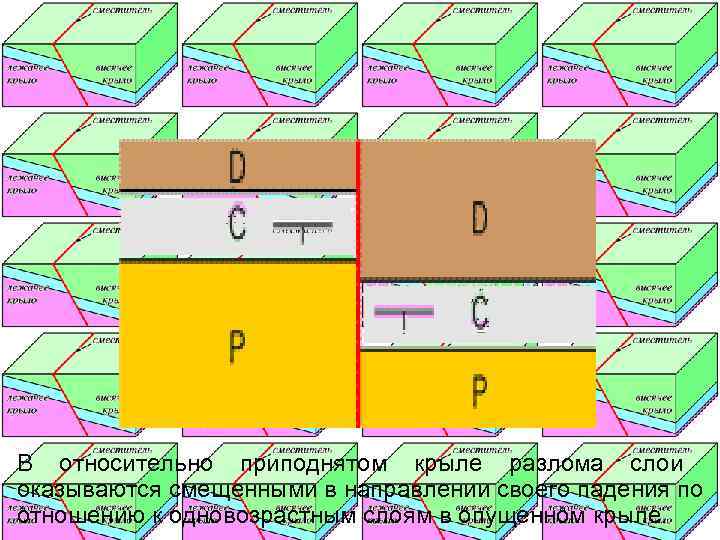 В относительно приподнятом крыле разлома слои оказываются смещенными в направлении своего падения по отношению