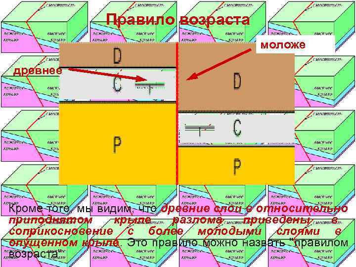     Правило возраста    моложе древнее Кроме того, мы