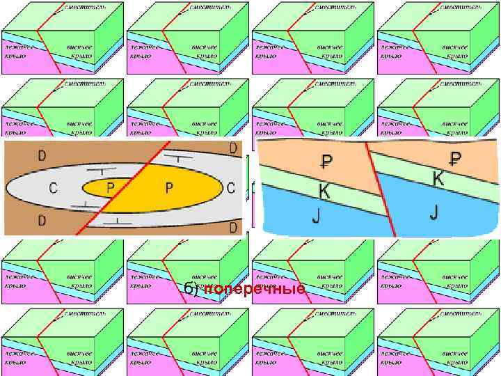 б) поперечные 