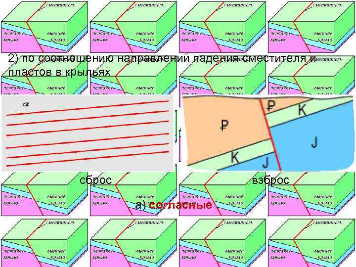2) по соотношению направлений падения сместителя и пластов в крыльях    сброс