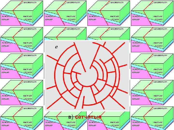 в) сетчатые 