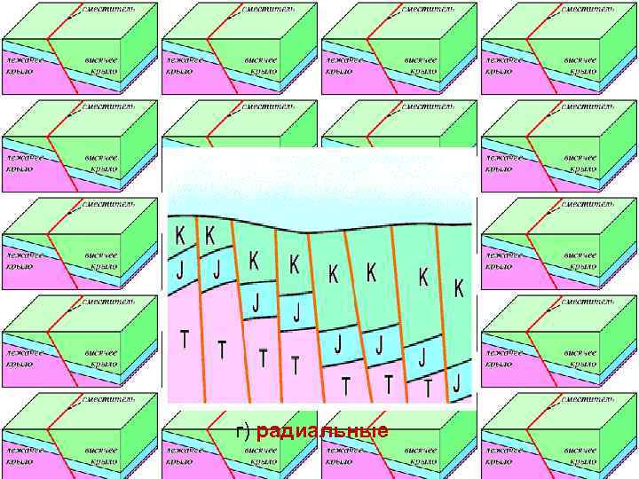 г) радиальные 