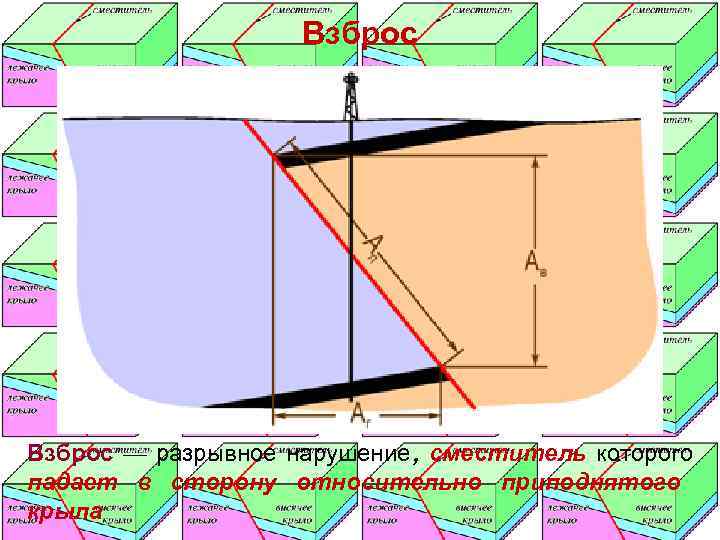     Взброс — разрывное нарушение , сместитель которого падает в сторону