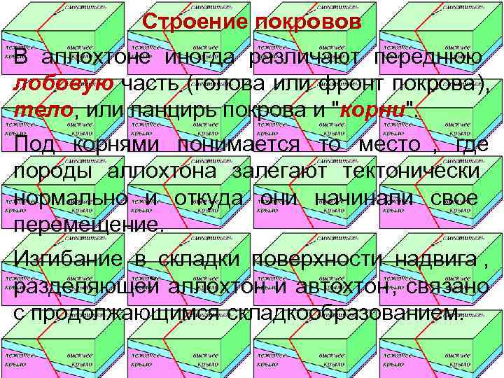   Строение покровов В аллохтоне иногда различают переднюю лобовую часть (голова или фронт