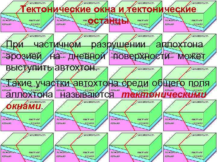  Тектонические окна и тектонические    останцы При частичном разрушении аллохтона эрозией