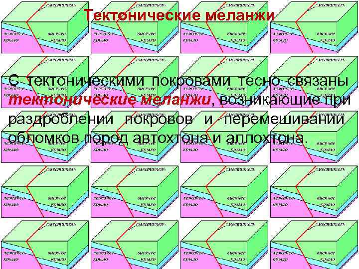   Тектонические меланжи  С тектоническими покровами тесно связаны тектонические меланжи, возникающие при