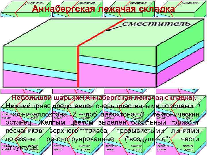  Аннабергская лежачая складка  Небольшой шарьяж (Аннабергская лежачая складка). Нижний триас представлен