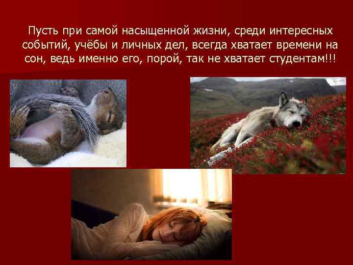  Пусть при самой насыщенной жизни, среди интересных событий, учёбы и личных дел, всегда