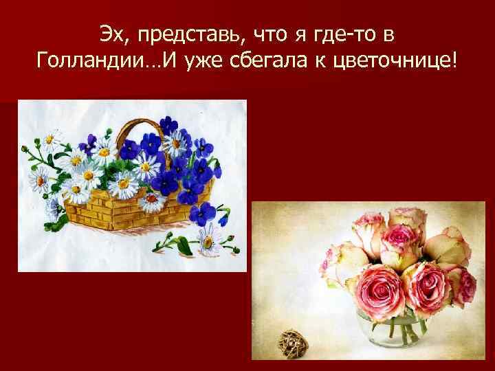  Эх, представь, что я где-то в Голландии…И уже сбегала к цветочнице! 