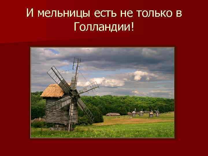 И мельницы есть не только в   Голландии! 