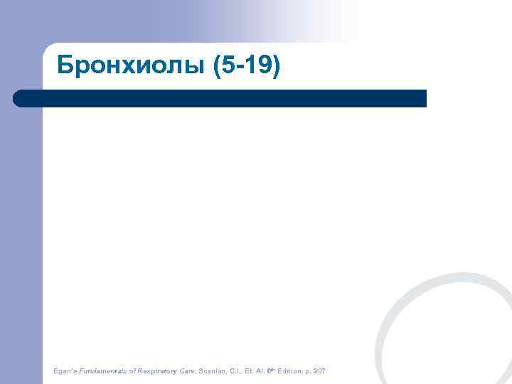 Бронхиолы (5 -19) Egan’s Fundamentals of Respiratory Care, Scanlan, C. L. Et. Al. 6
