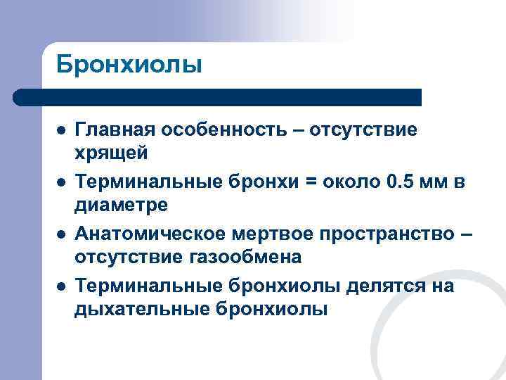 Бронхиолы l  Главная особенность – отсутствие хрящей l  Терминальные бронхи = около