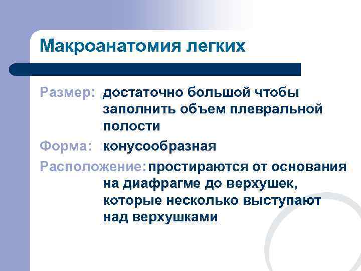 Макроанатомия легких Размер: достаточно большой чтобы   заполнить объем плевральной   полости