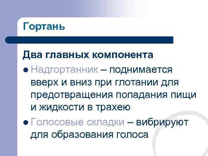 Гортань Два главных компонента l Надгортанник – поднимается  вверх и вниз при глотании