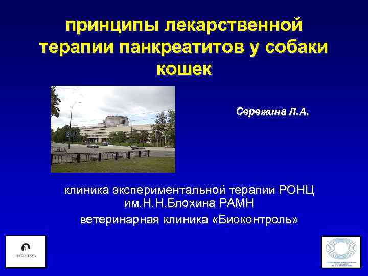   принципы лекарственной терапии панкреатитов у собаки   кошек   