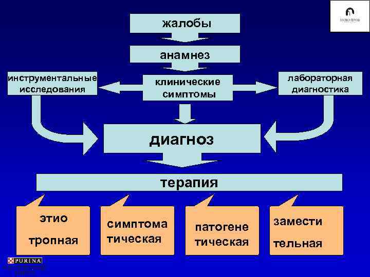      жалобы      анамнез инструментальные 