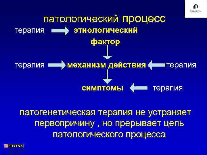  патологический процесс терапия этиологический   фактор терапия  механизм действия терапия 
