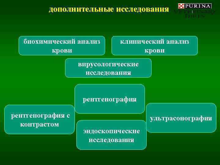    дополнительные исследования биохимический анализ  клинический анализ  крови  