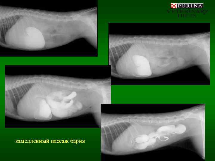 замедленный пассаж бария 