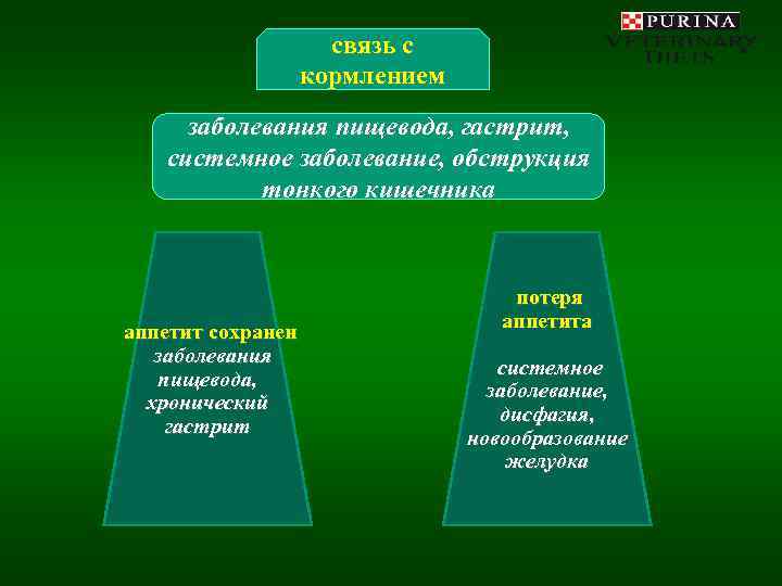      связь с    кормлением заболевания пищевода, гастрит,