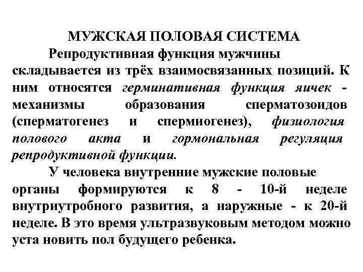 Обозначьте на предложенной диаграмме органы репродуктивной системы мужчины