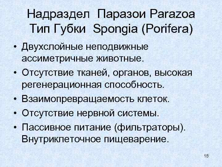  Надраздел Паразои Parazoa  Тип Губки Spongia (Porifera) • Двухслойные неподвижные  ассиметричные
