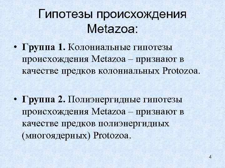  Гипотезы происхождения   Metazoa:  • Группа 1. Колониальные гипотезы  происхождения