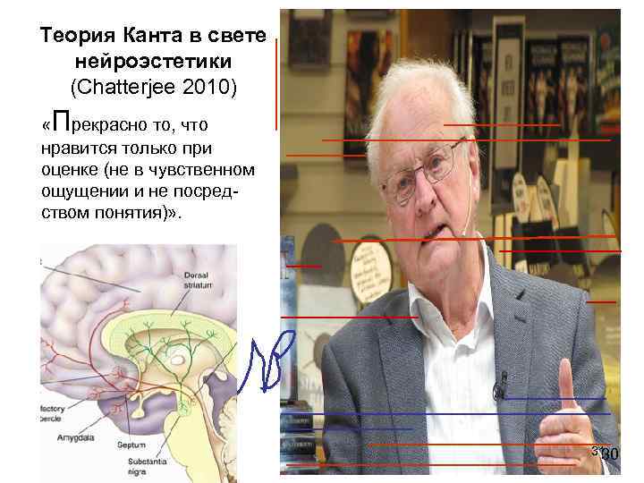 Теория Канта в свете  нейроэстетики  (Chatterjee 2010) П « рекрасно то, что