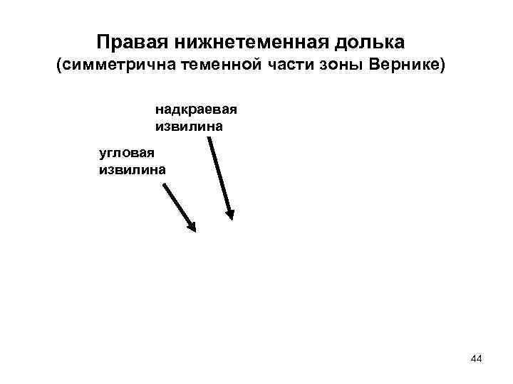   Правая нижнетеменная долька (симметрична теменной части зоны Вернике)  надкраевая  извилина