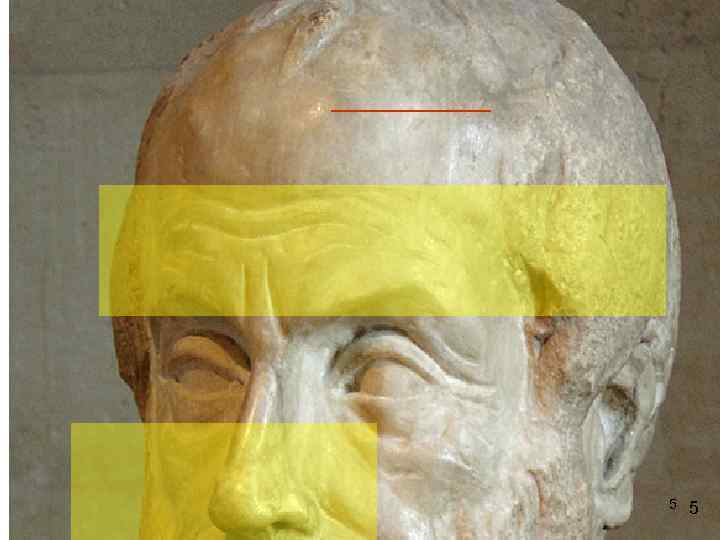 Copycat Suicide (Werther Effect)    5  5 