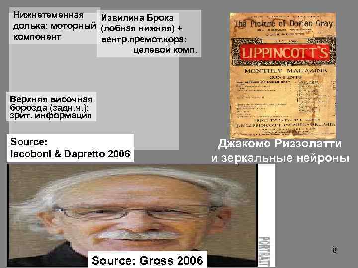 Нижнетеменная  Извилина Брока долька: моторный (лобная нижняя) + компонент  вентр. премот. кора: