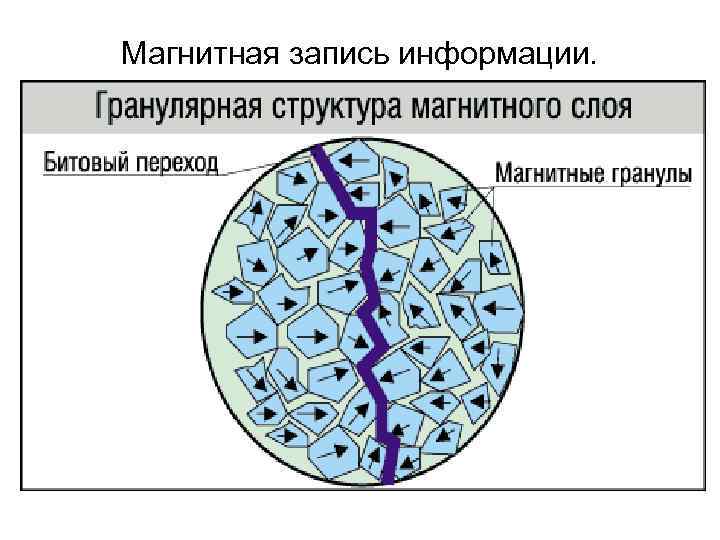 Магнитная запись информации.  