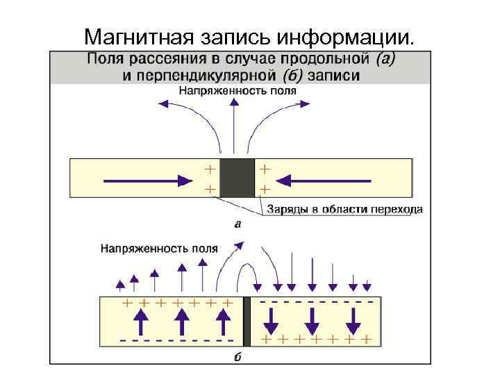 Магнитная запись информации.  
