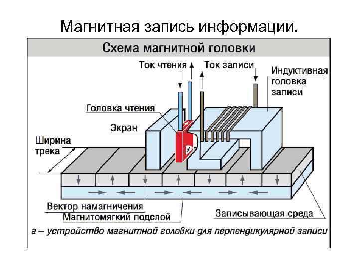 Магнитная запись информации.  