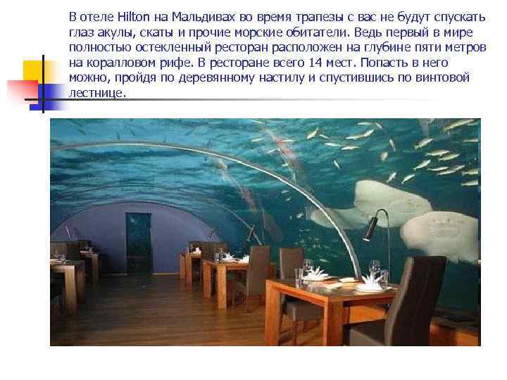 В отеле Hilton на Мальдивах во время трапезы с вас не будут спускать глаз