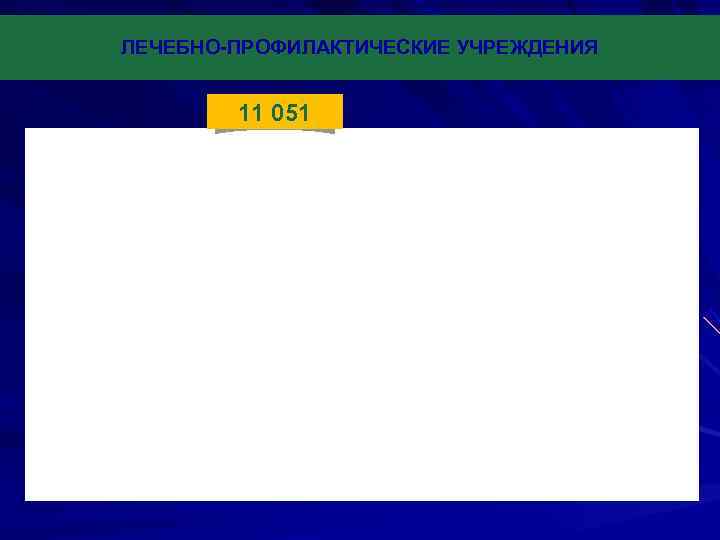 ЛЕЧЕБНО-ПРОФИЛАКТИЧЕСКИЕ УЧРЕЖДЕНИЯ  11 051 