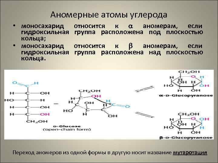    Аномерные атомы углерода • моносахарид  относится к  аномерам, если