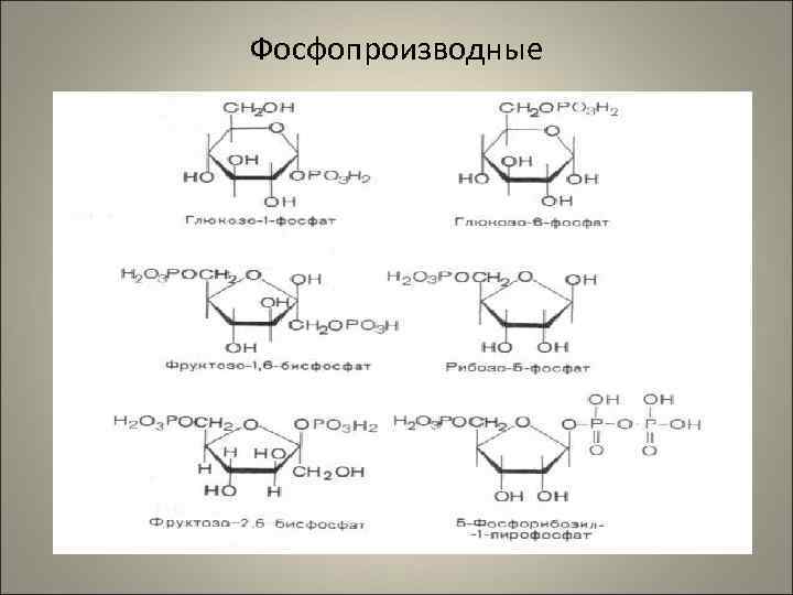 Фосфопроизводные 