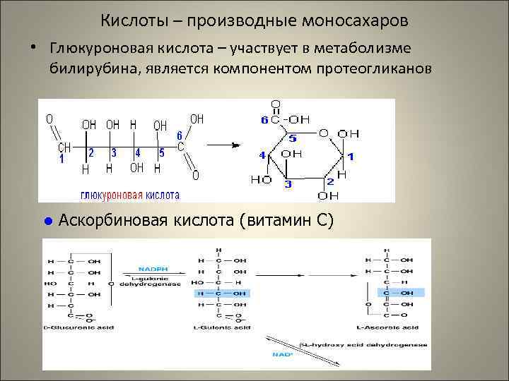    Кислоты – производные моносахаров • Глюкуроновая кислота – участвует в метаболизме