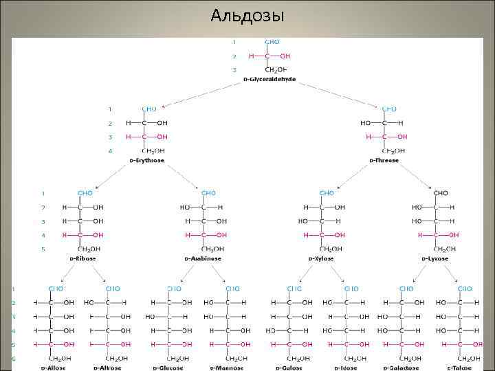 Альдозы 