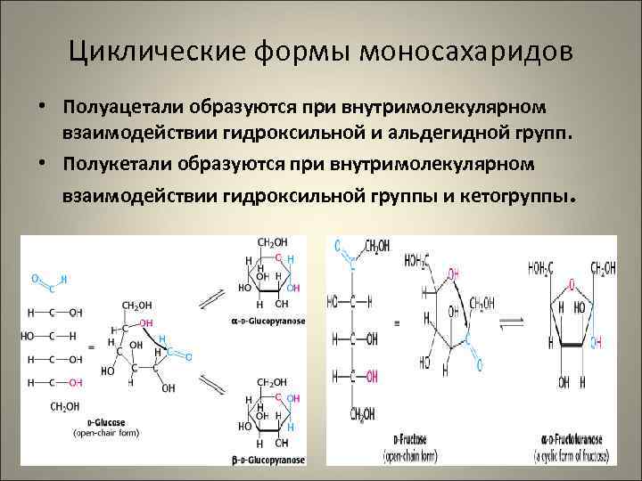 Циклические формы моносахаридов • Полуацетали образуются при внутримолекулярном  взаимодействии гидроксильной и альдегидной
