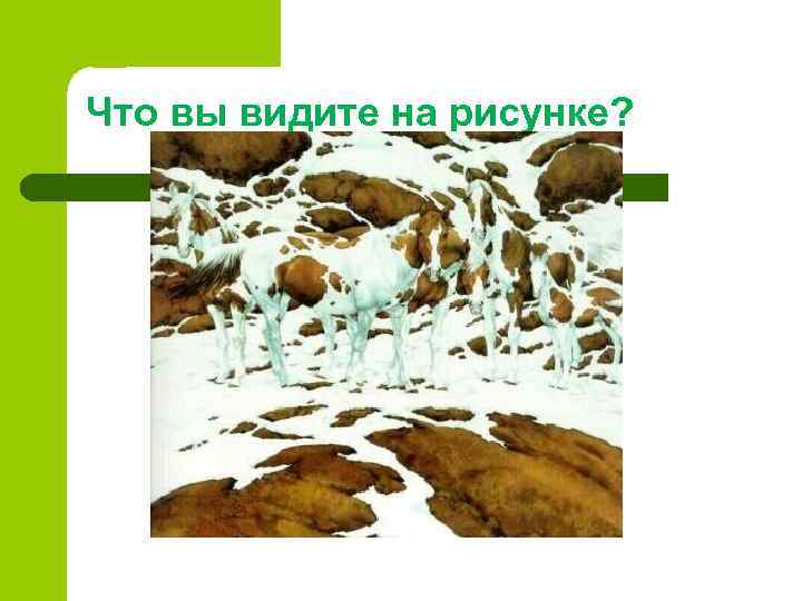 Что вы видите на рисунке? 