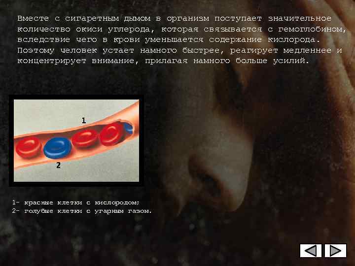  Вместе с сигаретным дымом в организм поступает значительное  количество окиси углерода, которая