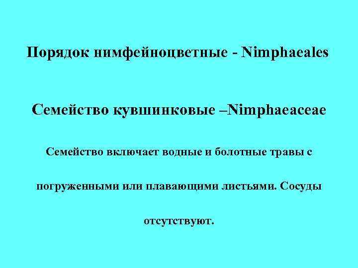 Порядок нимфейноцветные - Nimphaeales Семейство кувшинковые –Nimphaeaceae Семейство включает водные и болотные Порядок нимфейноцветные - Nimphaeales Семейство кувшинковые –Nimphaeaceae Семейство включает водные и болотные