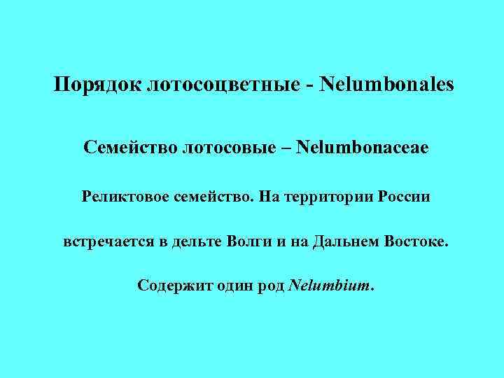 Порядок лотосоцветные - Nelumbonales Семейство лотосовые – Nelumbonaceae Реликтовое семейство. На территории Порядок лотосоцветные - Nelumbonales Семейство лотосовые – Nelumbonaceae Реликтовое семейство. На территории