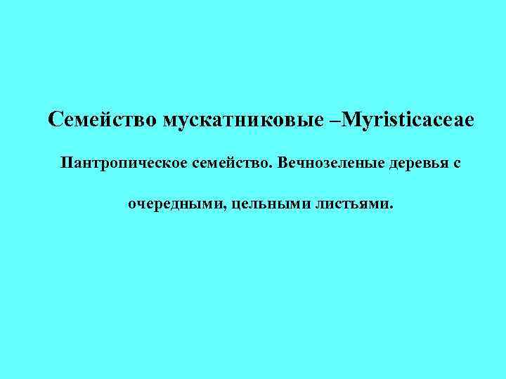 Семейство мускатниковые –Myristicaceae Пантропическое семейство. Вечнозеленые деревья с очередными, цельными листьями. Семейство мускатниковые –Myristicaceae Пантропическое семейство. Вечнозеленые деревья с очередными, цельными листьями.