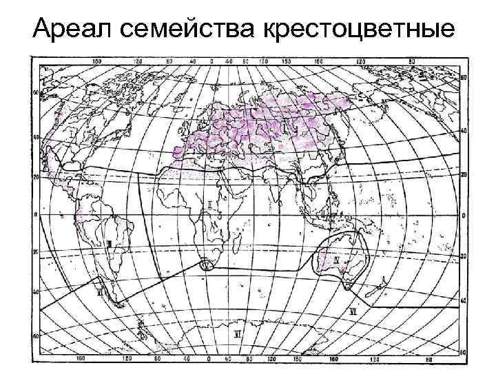 Ареал семейства крестоцветные 